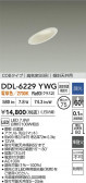 DAIKO ŵ LED饤 DDL-6229YWG