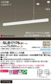 Panasonic ڥ SLB17176LB1