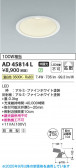 Koizumi ߾ LED饤 AD45814L