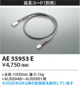 Koizumi ߾ Ĺ AE55953E