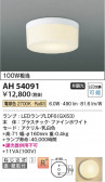 Koizumi ߾ LED AH54091