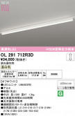ODELIC �����ǥ�å� �١����饤�� OL291712R3D