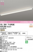 ODELIC �����ǥ�å� �١����饤�� OL291712R3E
