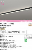 ODELIC �����ǥ�å� �١����饤�� OL291713R3E