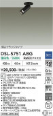 DAIKO ����ŵ� ���ݥåȥ饤�� DSL-5751ABG
