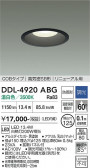 DAIKO ����ŵ� ������饤��(��������) DDL-4920ABG
