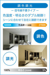 |DAIKO ŵ LEDĴ饤 DDL-CD024W