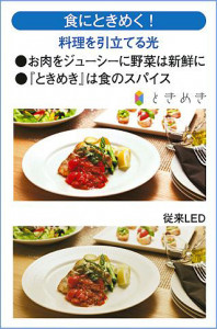 |DAIKO ŵ LED֥饱å DBK-40425Y