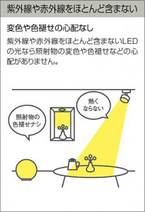 |DAIKO ŵ LEDݥåȥ饤 DSL-4901YBG
