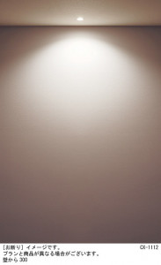 Panasonic ƥꥢ饤 SLR1011LLE1 ̿4