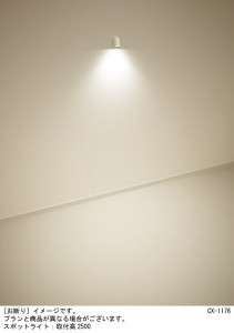 Panasonic ݥåȥ饤 XAS5000VCC1 ̿1