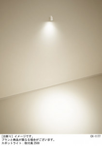Panasonic ݥåȥ饤 XAS5020LCC1 ̿1