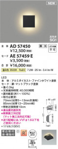 β Koizumi ߾  AE57459E