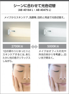 �������� Koizumi �������߾��� LED�֥饱�å� AB40184L