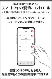 �������� Koizumi �������߾��� LED�ⵤ̩SB������饤�� AD1295W35