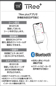 �������� Koizumi �������߾��� �饤�ȥ���ȥ����� AE54343E