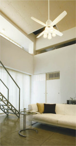 �ܹ���̿� Koizumi �������߾��� ����ƥꥢ�ե����Ĺ�ѥ��� AE-91156