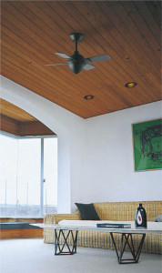 �ܹ���̿� Koizumi �������߾��� ����ƥꥢ�ե������� AEE695079