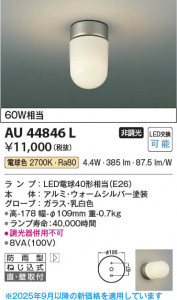 ���β��� Koizumi �������߾��� LED�ɱ����֥饱�å� AU44846L