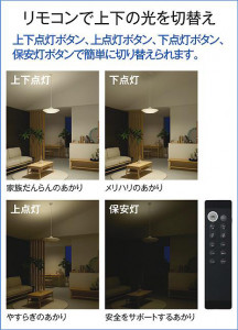 ����� | DAIKO ����ŵ� Ĵ���ڥ����� DPN-40977E