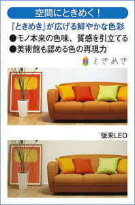 M_00092.JPG | DAIKO ����ŵ� �֥饱�å� DBK-40424A