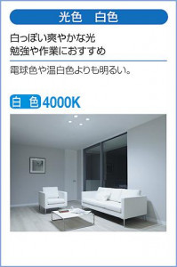����� | DAIKO ����ŵ� �١����饤�� DBL-5720NWG