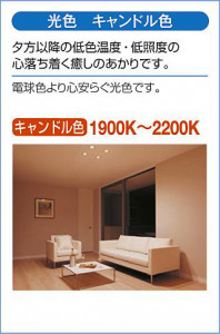 ����� | DAIKO ����ŵ� ����������� DCL-42499YG
