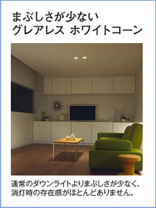 ����� | DAIKO ����ŵ� ��˥С����������饤�� DDL-6241YWG