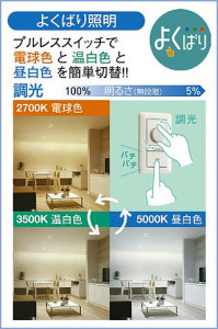 ����� | DAIKO ����ŵ� ���������إ�����饤�� DDL-6267FBG