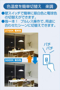 ����� | DAIKO ����ŵ� ���������إڥ����� DPN-39817GE