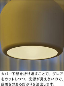 42255-56Y_UP2.JPG | DAIKO ����ŵ� �ڥ����� DPN-42254Y