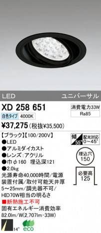 ODELIC ǥå LED 饤 XD258651 ᥤ̿