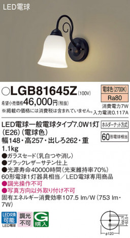 Panasonic ֥饱å LGB81645Z ᥤ̿