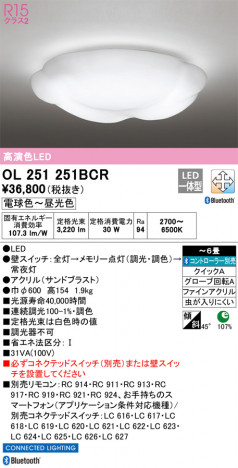 ODELIC ǥå 󥰥饤 OL251251BCR ᥤ̿