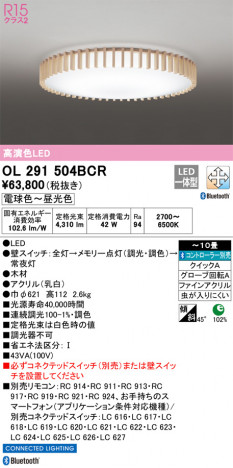 ODELIC ǥå 󥰥饤 OL291504BCR ᥤ̿