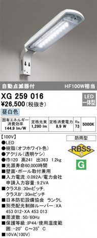 ODELIC ǥå ƥꥢ饤 XG259016 ᥤ̿