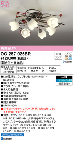 ODELIC ǥå ǥꥢ OC257026BR ᥤ̿