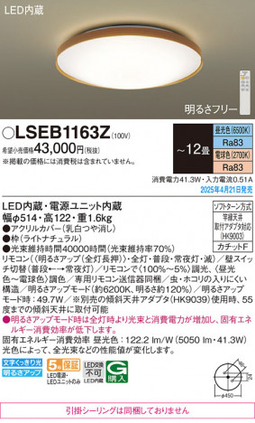 Panasonic 󥰥饤 LSEB1163Z ᥤ̿