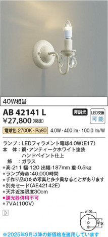 ���β��� Koizumi �������߾��� LED�֥饱�å� AB42141L