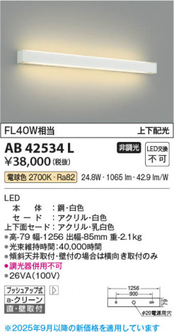 ���β��� Koizumi �������߾��� LED�֥饱�å� AB42534L