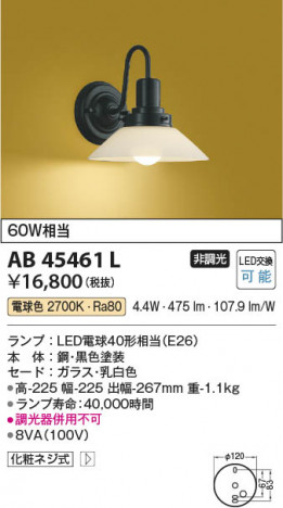 ���β��� Koizumi �������߾��� LED�����֥饱�å� AB45461L