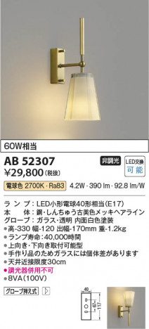 ���β��� Koizumi �������߾��� LED�֥饱�å� AB52307