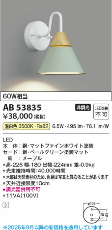 ���β��� Koizumi �������߾��� LED�֥饱�å� AB53835