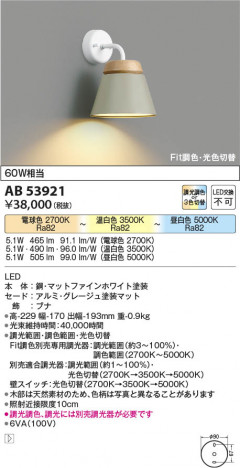 ���β��� Koizumi �������߾��� LED�֥饱�å� AB53921