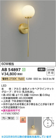 ���β��� Koizumi �������߾��� LED�֥饱�å� AB54897
