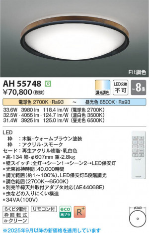 ���β��� Koizumi �������߾��� LED������� AH55748