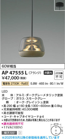 ���β��� Koizumi �������߾��� LED�ڥ����� AP47555L