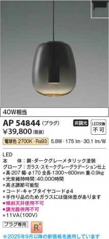���β��� Koizumi �������߾��� LED�ڥ����� AP54844