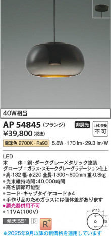 ���β��� Koizumi �������߾��� LED�ڥ����� AP54845