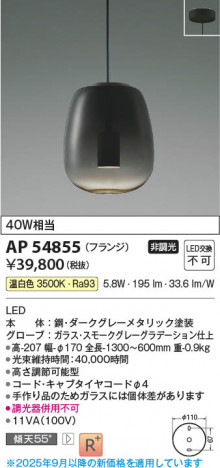 ���β��� Koizumi �������߾��� LED�ڥ����� AP54855